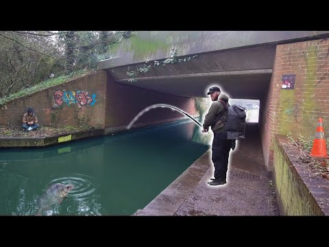 I Caught an Urban Canal GIANT!