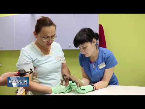 Новости Псков # Итоговый выпуск от 10.06.2018 