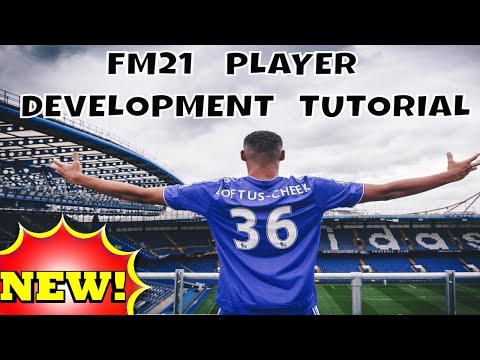 FM21 PLAYER TRAINING DEVELOPMENT TUTORIAL - FOOTBALL MANAGER - FM 21