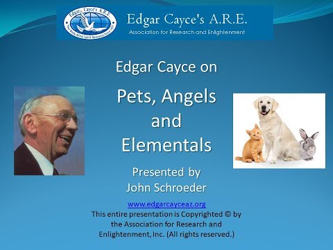 Edgar Cayce on Pets, Angels and Elementals