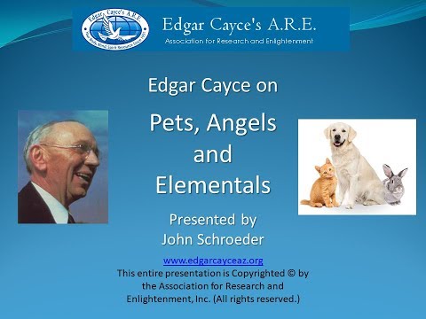 edgar cayce svorio netekimas lieknėjimo kultūra
