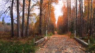 قصص للشيخ image