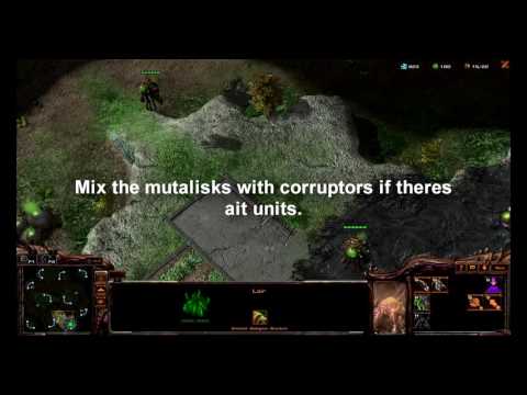 Ultralisk rush in 5 min in StarCraft 2 (LOTV)!