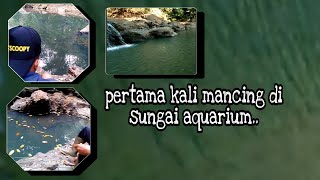Download lagu mancing di sungai seperti aquarium... || benar - benar seperti aquarium... mp3