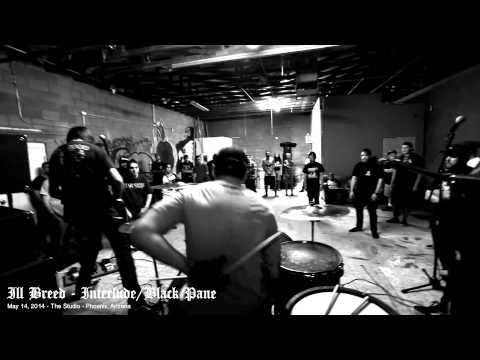 Ill Breed - Interlude/Black Pane - May 14, 2014 - The Studio 2