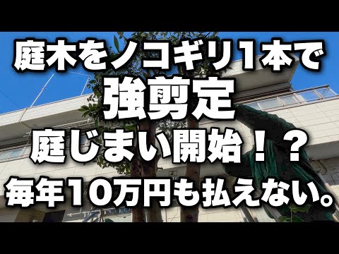 庭の木材を保護するための 10 のヒント 庭の練習