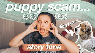 I WAS PUPPY SCAMMED | story time...