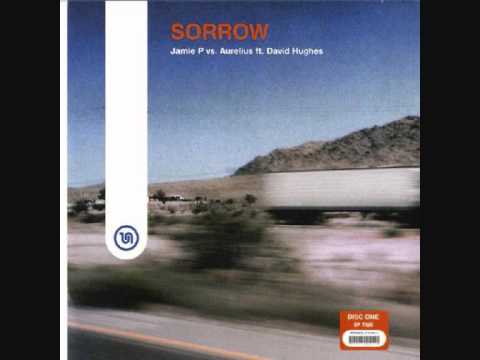 Jamie P vs Aurelius ft David H - Sorrow (Original Vocal Remix)