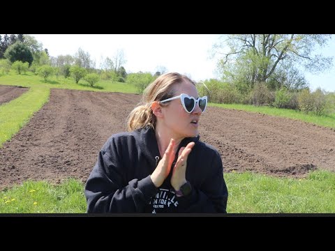 image-How do you plant dahlia beds?