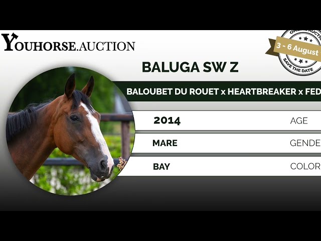 Baluga showvideo