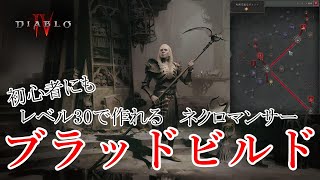 レベル30で考えるネクロマンサービルド　ブラッドビルド