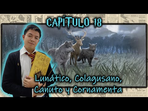 18 Lunatico Colagusano Canuto Y Cornamenta - Harry Potter El Prisionero De Azkaban