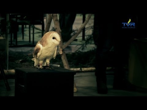 Darz Bór - odc. 54 - Targi Hunting Expo 2013 w Sosnowcu cz.2