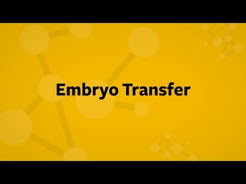 In Vitro Fertilization Embryo Transfer