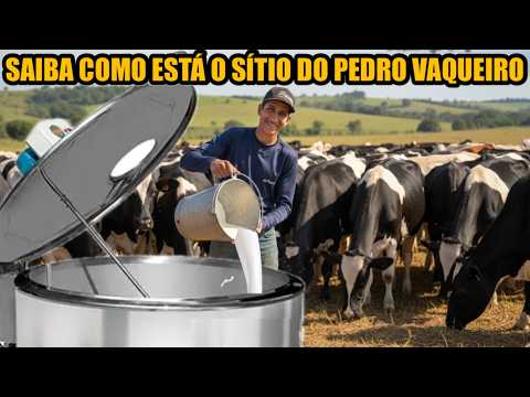 A PRODUÇÃO DE LEITE  DO PEDRO