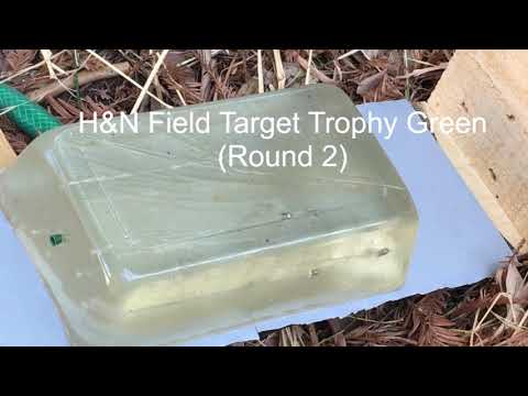 Gamo Swarm Maxxim .22 vs ballistics gel