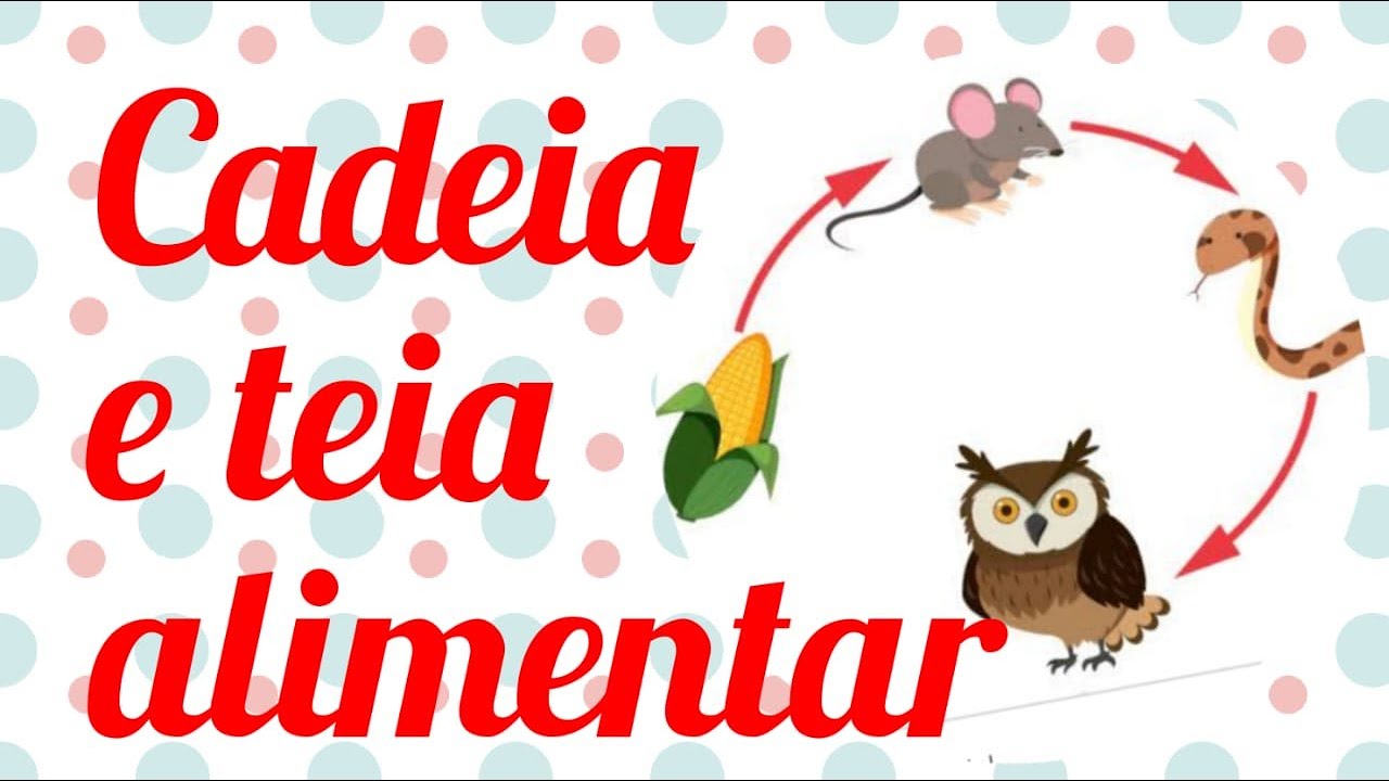 CADEIA ALIMENTAR E TEIA ALIMENTAR