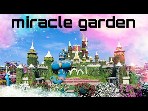 Dubai Miracle Garden||world's largest flower garden||UAE||