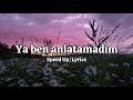 Turan Şahin - ya ben anlatamadum (Speed up/Lyrics)