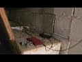 A Big Mouse Problem in the Basement in Somerville, NJ