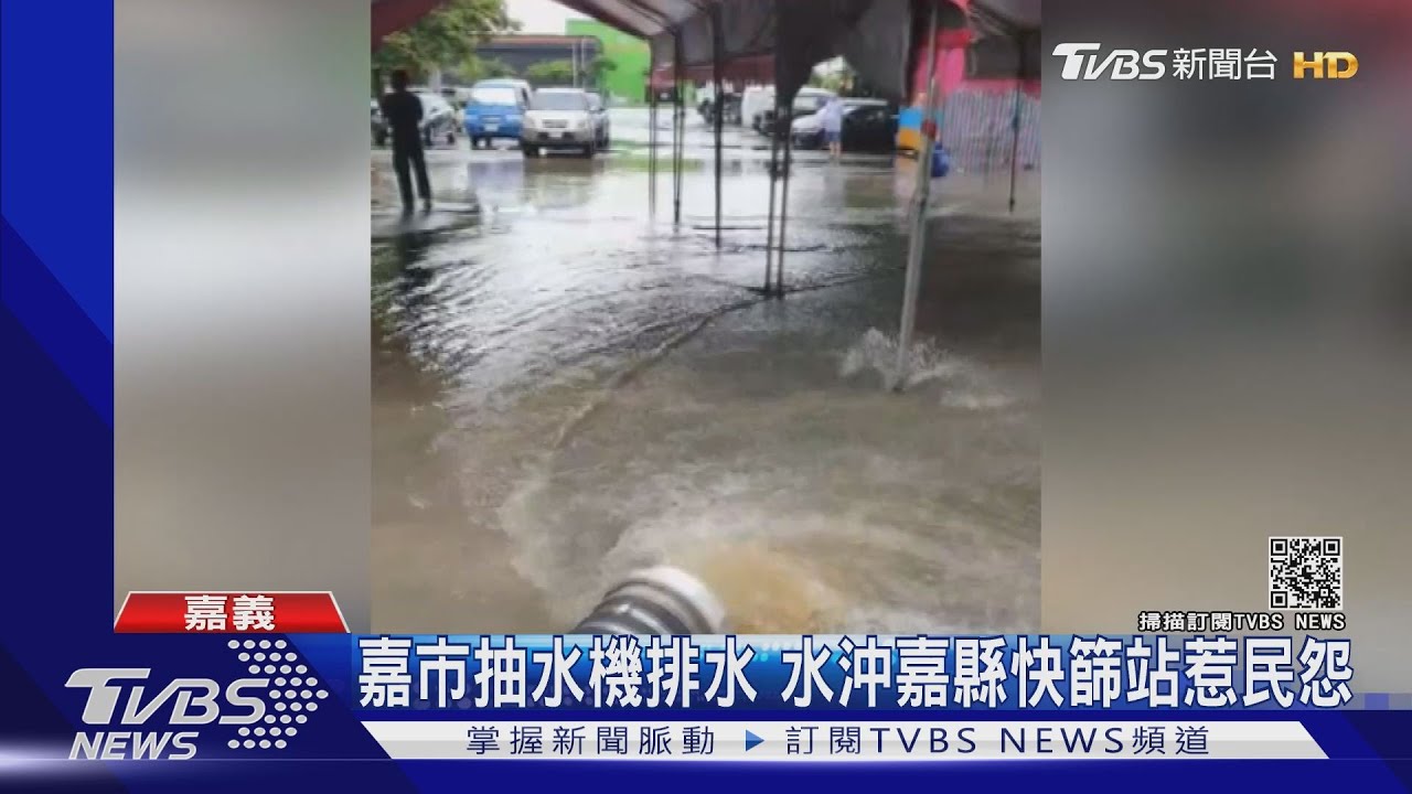 嘉市大雨!農會池塘滿溢錦鯉游出來 農會總幹事忙撈魚