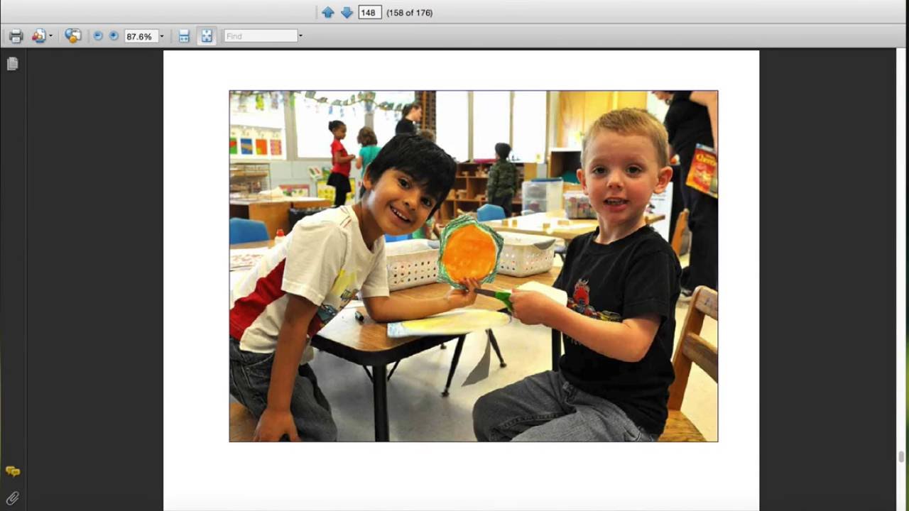 NCFELD CD PPT Video2