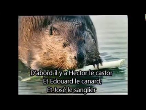 la ferme- fatal picard paroles