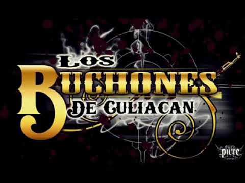 El Comando Suicida Del Mayo - Buchones de Culiacán