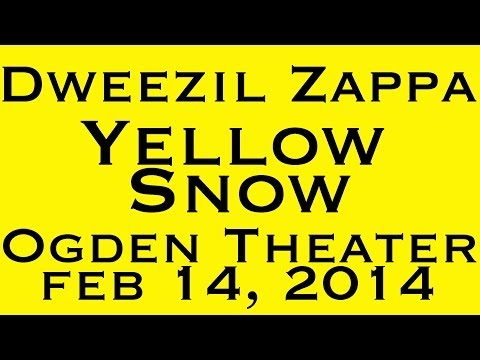 Yellow Snow - Dweezil Zappa