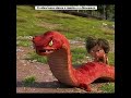 A COBRA LOUCA ATACOU O MENINO E O DINOSSAURO Shorts