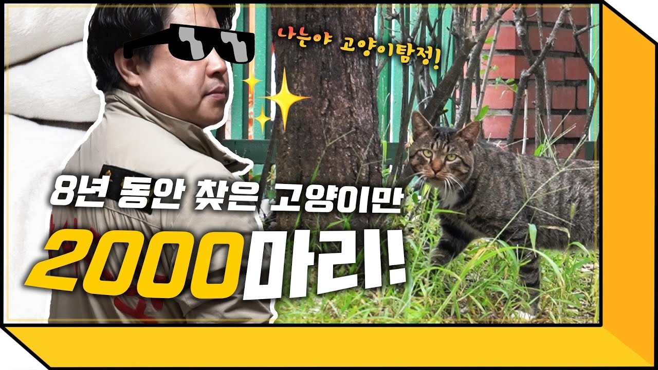집 나간 고양이 바로 찾아드려요! (feat. 고양이탐정)