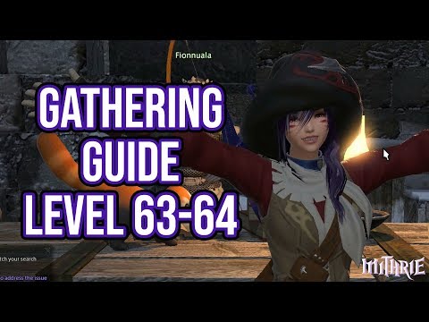 FFXIV 4.0 1101 Gathering Guide Level 63 to 64