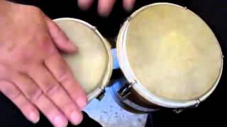 Bongos FREEJAC – Acode de Sergio Mendes et Vanessa da Mata