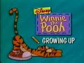 Winnie The Pooh Growing Up Working Together Bumpers