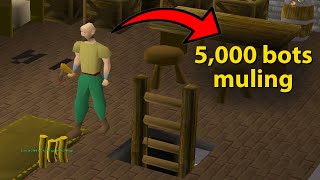 Jagex has Given F2P RuneScape to the Botters.