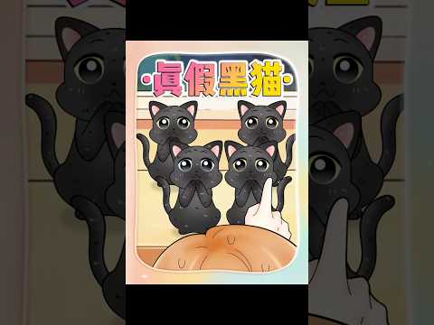 关于我家黑猫被4只一模一样的流浪猫冒名顶替这件事 #猫咪 #原创动画