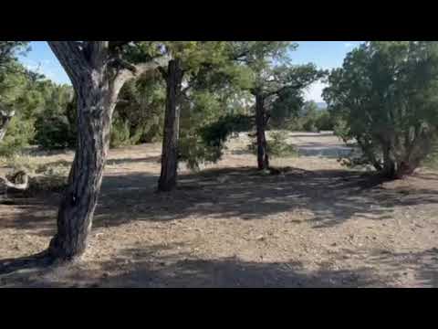 TD-9 campground in Lama, NM
