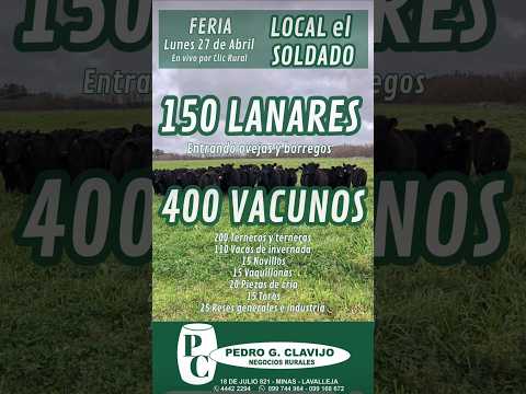 27/4/2026 Local el Soldado - Lavalleja - Pedro G. Clavijo I Clic Rural