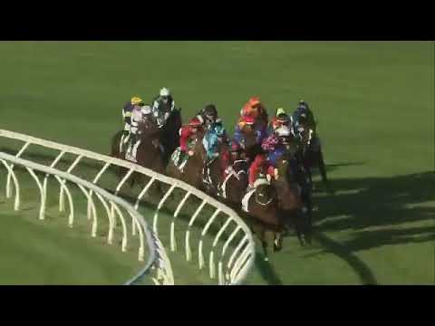 Apache Chase Horse