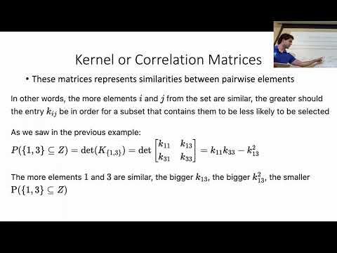 Determinantal Point Processes in Portfolio Optimization