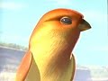 A Bug S Life 1998 Bird Attack