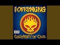 Want You Bad by The Offspring