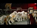 Ringling Bros Presents Circus XTREME Official Music Video