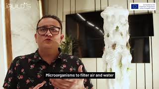 C:aire: a BUILDs start-up that creates 3D printed columns to fight air pollution