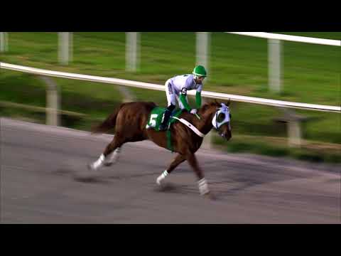 210828 c09 LEGAJO RUNNER