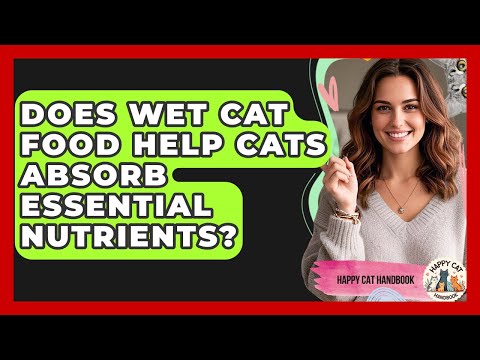 Does Wet Cat Food Help Cats Absorb Essential Nutrients? - Happy Cat Handbook