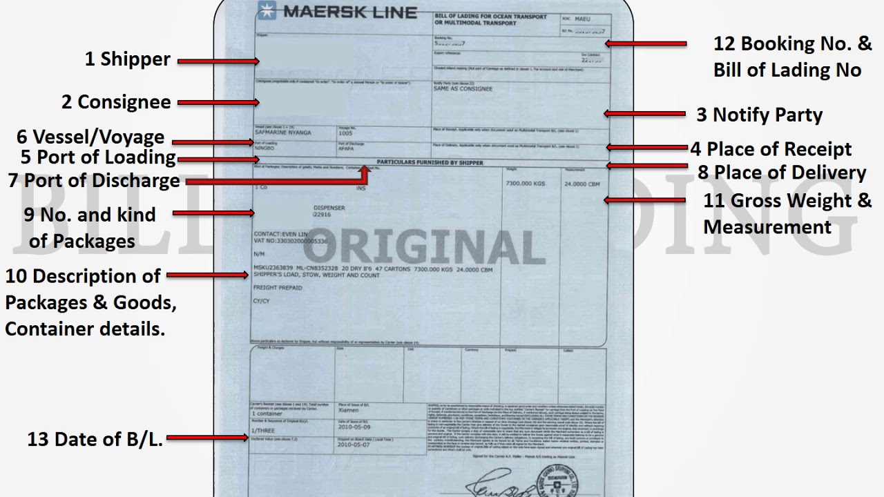 An Introduction to Bill of Lading (B/L)-Simple explanation