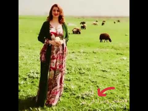 أحب البر والمزيون