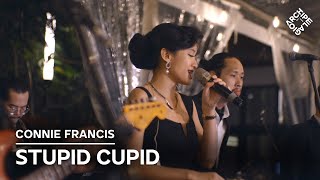 Wedding Band Jakarta | Stupid Cupid (Connie Francis)