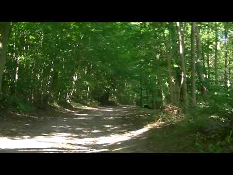 MongoTV_561 - Del 15 - Fede John På Skovtur Og Søndagsudflugt - 23.August 2015